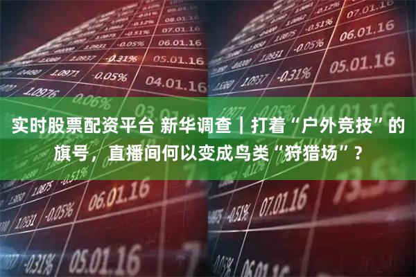 实时股票配资平台 新华调查｜打着“户外竞技”的旗号，直播间何以变成鸟类“狩猎场”？